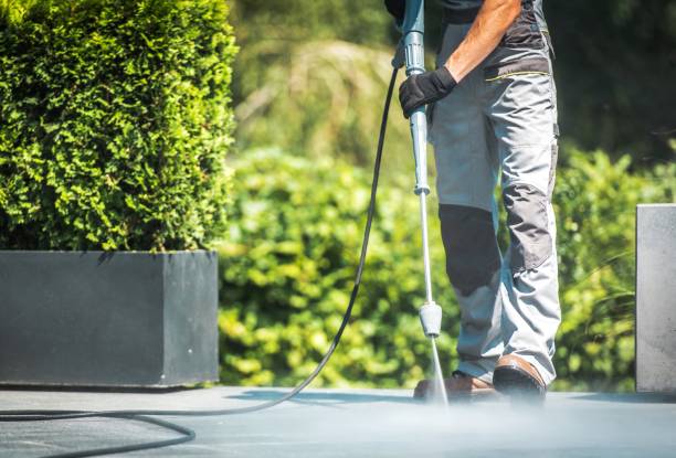 Best Sidewalk and Walkway Cleaning  in Livonia, LA