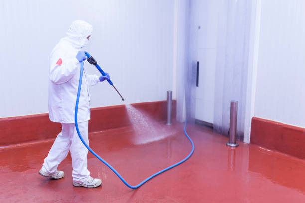 Best Restaurant Pressure Washing  in Livonia, LA