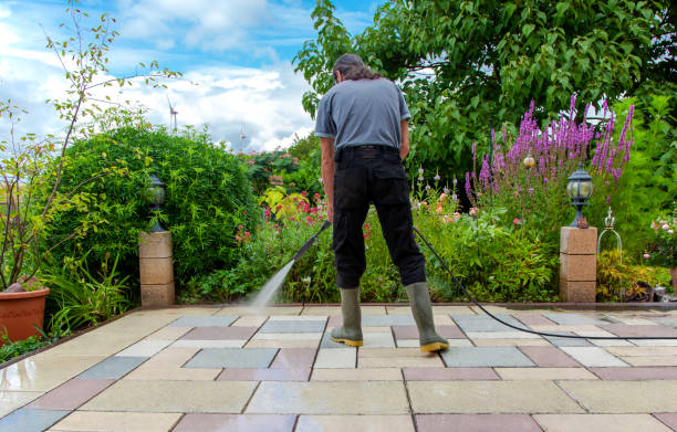 Best Spring Cleaning  in Livonia, LA